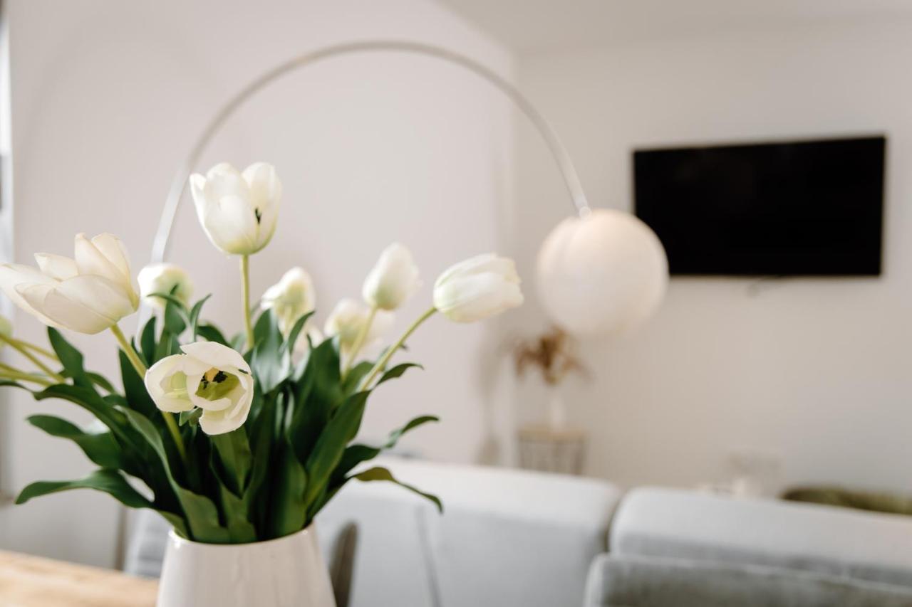Moderne Suite No1 Im Herzen Von Hameln Hamelin Extérieur photo